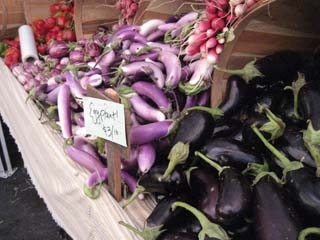 eggplant-03