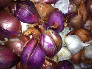 garlic-01