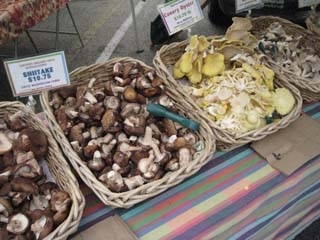 mushrooms-01