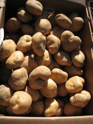 potatoes-01