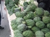 artichokes-03
