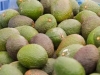 avocados-02