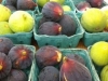 figs-01
