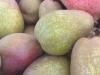 pears-01
