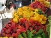 peppers-03
