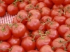 tomatoes-03