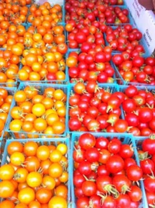 tomatoes-02