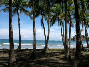 Long Healthy Life in Nicoya Costa Rica