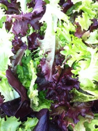 lettuce-01
